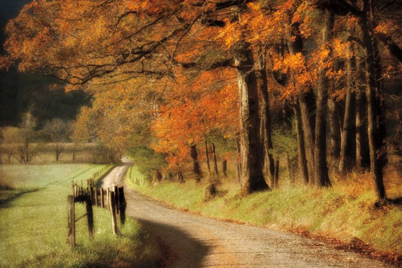 Autumns Morning Light Poster Print by D. Burt - Item # VARPDX16382